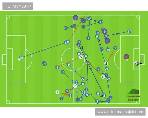 骑士双塔阵容攻防均衡 但后场身高限制上限